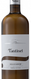 Fantinel Borgos Tesis Sauvignon